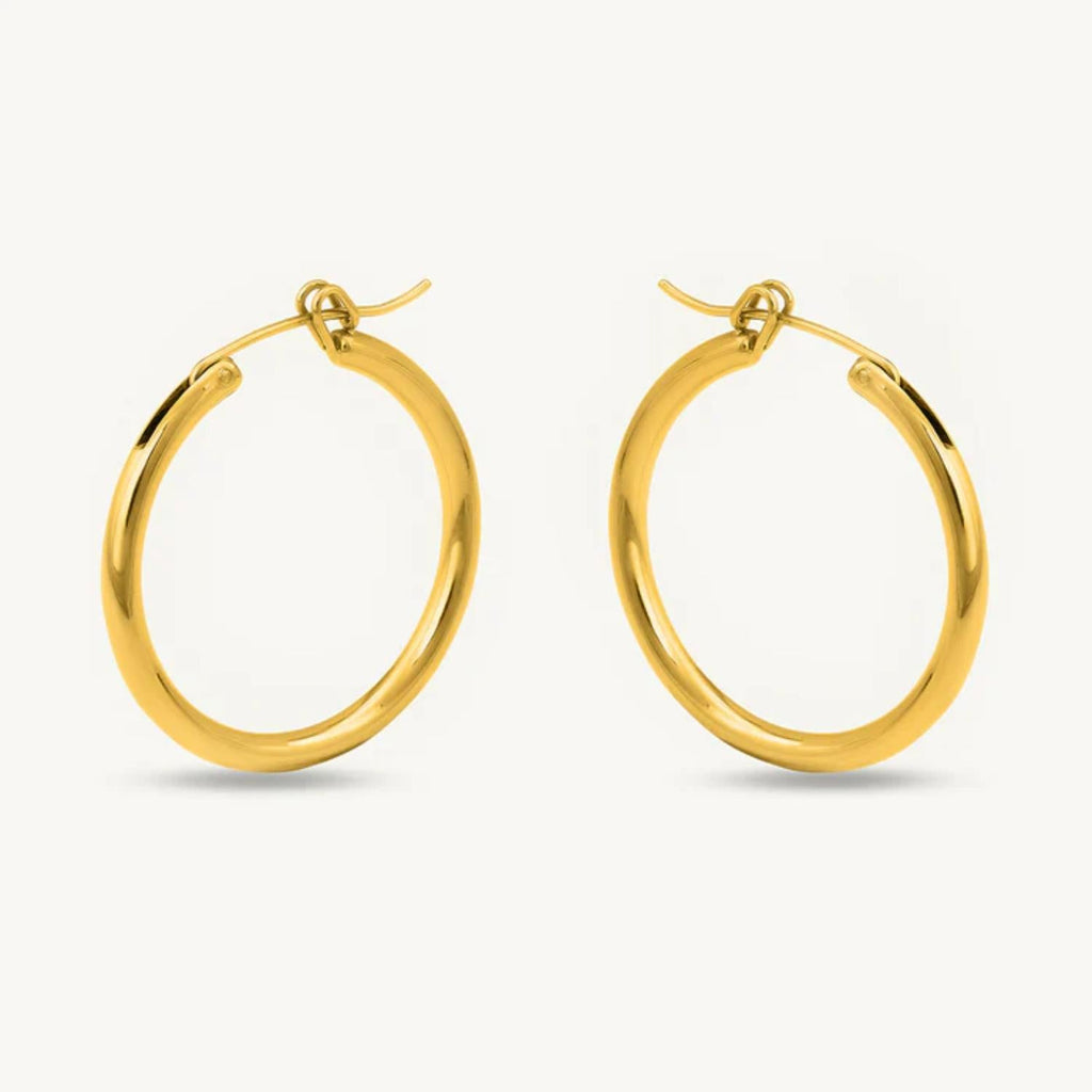 Minimalist Classic Gold Round Earrings 925 Sterling Silver Yellow Plated