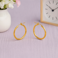 Minimalist Classic Gold Round Earrings 925 Sterling Silver Yellow Plated